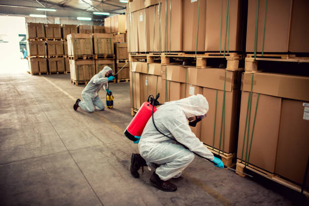 Best Residential Pest Control  in New City, NY