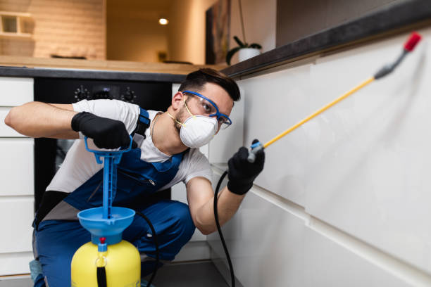Best Pest Prevention Services  in New City, NY