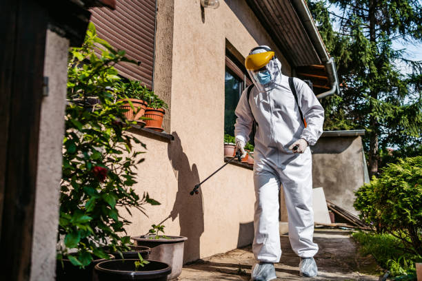 Best Termite Control Services  in New City, NY