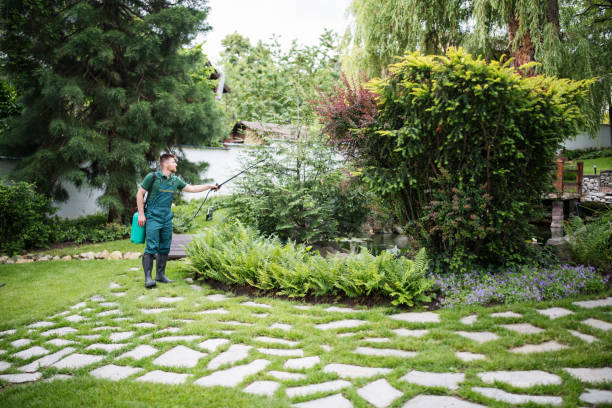 Best Residential Pest Control  in New City, NY