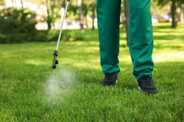Best Pest Inspection Near Me  in New City, NY