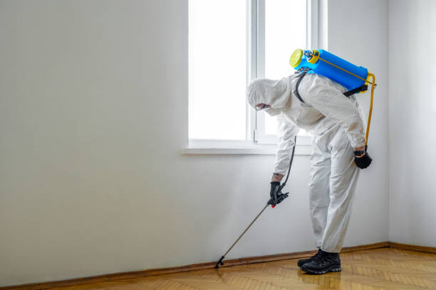 Best Pest Inspection Near Me  in New City, NY