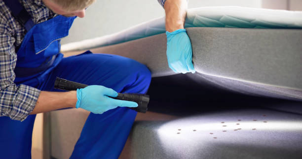 Best Pest Control Near Me  in New City, NY