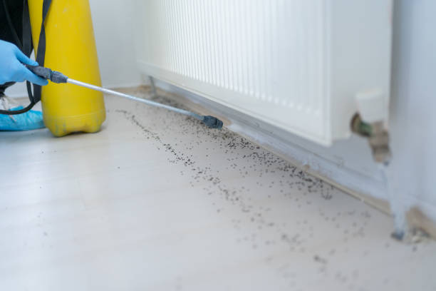 Best Pest Inspection Near Me  in New City, NY