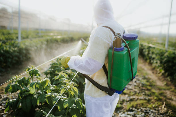  New City, NY Pest Control Pros